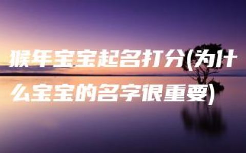 猴年宝宝起名打分(为什么宝宝的名字很重要)