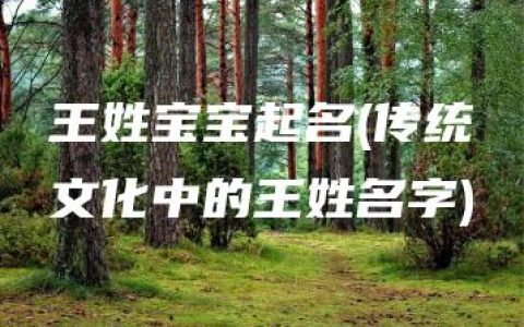 王姓宝宝起名(传统文化中的王姓名字)