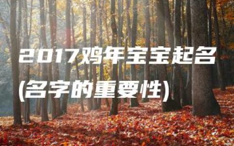 2017鸡年宝宝起名(名字的重要性)