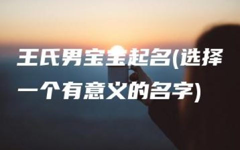 王氏男宝宝起名(选择一个有意义的名字)