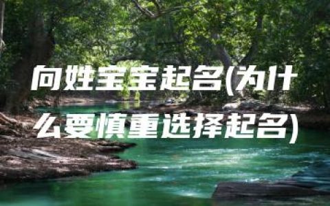 向姓宝宝起名(为什么要慎重选择起名)