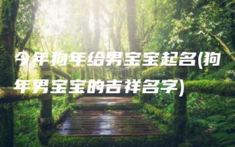 今年狗年给男宝宝起名(狗年男宝宝的吉祥名字)