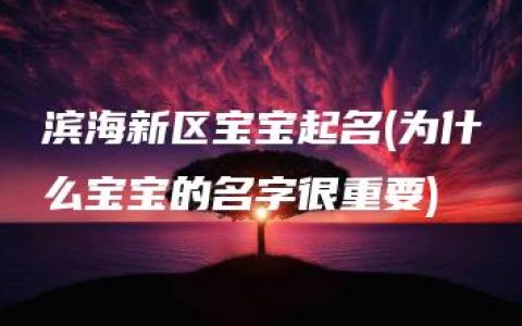 滨海新区宝宝起名(为什么宝宝的名字很重要)