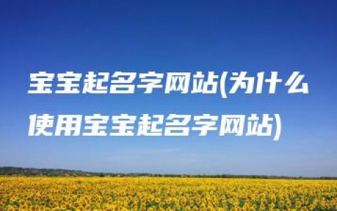 宝宝起名字网站(为什么使用宝宝起名字网站)