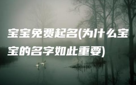 宝宝免费起名(为什么宝宝的名字如此重要)