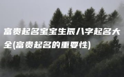 富贵起名宝宝生辰八字起名大全(富贵起名的重要性)