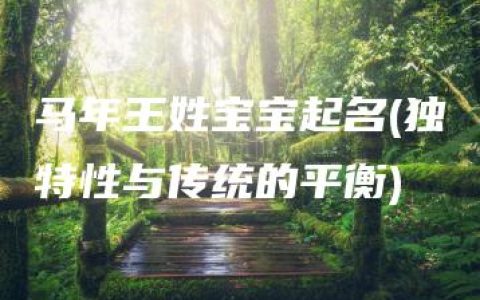 马年王姓宝宝起名(独特性与传统的平衡)