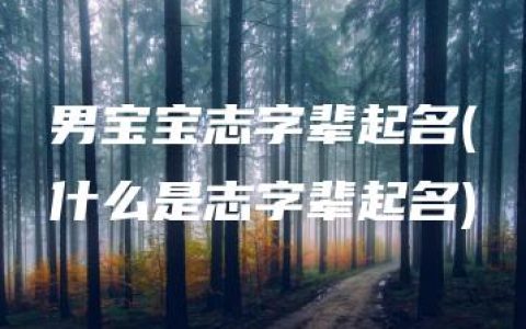 男宝宝志字辈起名(什么是志字辈起名)