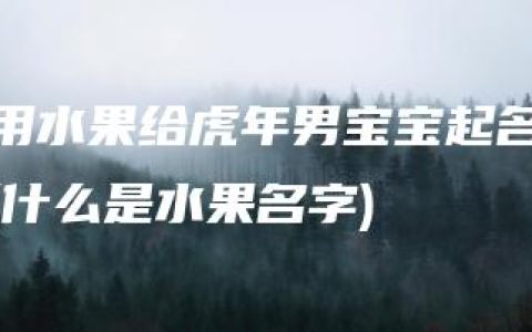 用水果给虎年男宝宝起名(什么是水果名字)