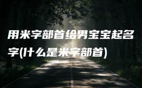 用米字部首给男宝宝起名字(什么是米字部首)