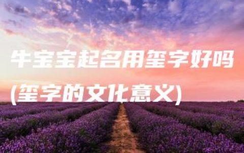 牛宝宝起名用玺字好吗(玺字的文化意义)