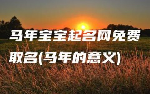 马年宝宝起名网免费取名(马年的意义)