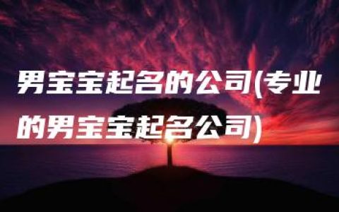 男宝宝起名的公司(专业的男宝宝起名公司)