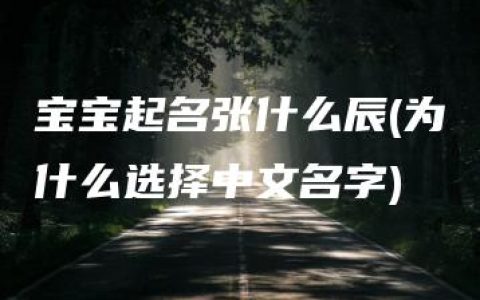 宝宝起名张什么辰(为什么选择中文名字)