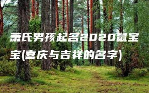 萧氏男孩起名2020鼠宝宝(喜庆与吉祥的名字)