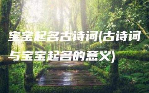 宝宝起名古诗词(古诗词与宝宝起名的意义)