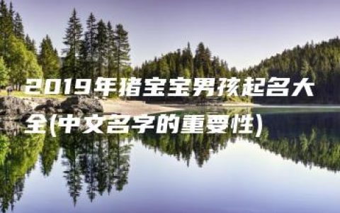 2019年猪宝宝男孩起名大全(中文名字的重要性)