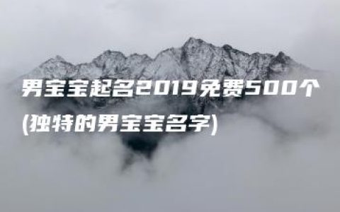 男宝宝起名2019免费500个(独特的男宝宝名字)