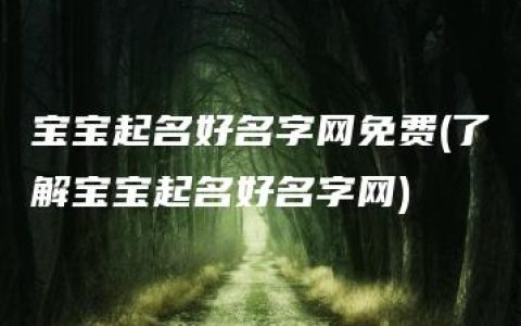 宝宝起名好名字网免费(了解宝宝起名好名字网)