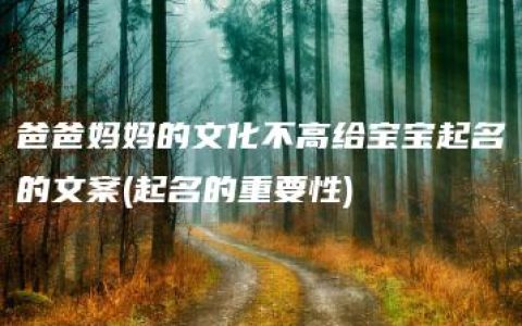 爸爸妈妈的文化不高给宝宝起名的文案(起名的重要性)