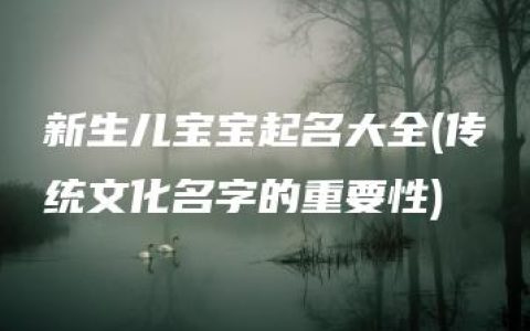 新生儿宝宝起名大全(传统文化名字的重要性)