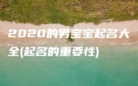 2020的男宝宝起名大全(起名的重要性)