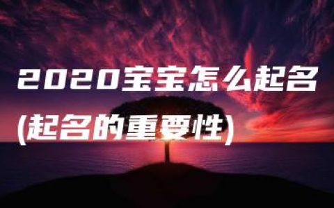 2020宝宝怎么起名(起名的重要性)