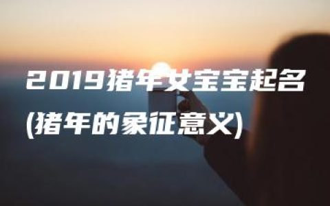 2019猪年女宝宝起名(猪年的象征意义)