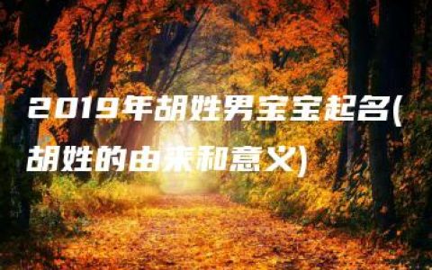 2019年胡姓男宝宝起名(胡姓的由来和意义)