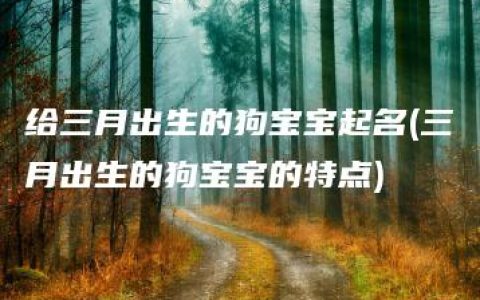 给三月出生的狗宝宝起名(三月出生的狗宝宝的特点)