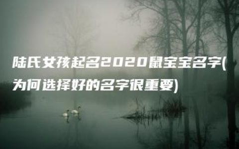 陆氏女孩起名2020鼠宝宝名字(为何选择好的名字很重要)