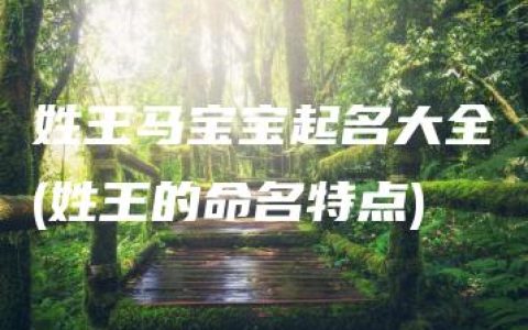 姓王马宝宝起名大全(姓王的命名特点)