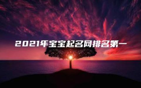 2021年宝宝起名网排名第一