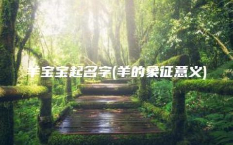 羊宝宝起名字(羊的象征意义)