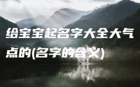 给宝宝起名字大全大气点的(名字的含义)