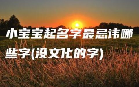 小宝宝起名字最忌讳哪些字(没文化的字)