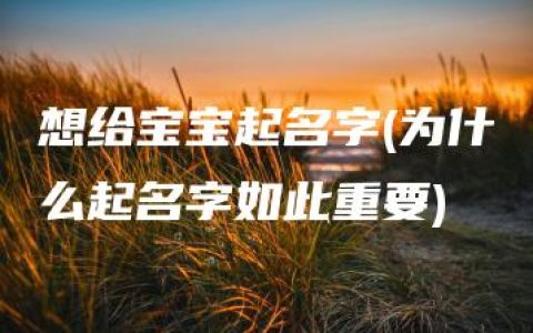 想给宝宝起名字(为什么起名字如此重要)