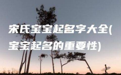 宋氏宝宝起名字大全(宝宝起名的重要性)