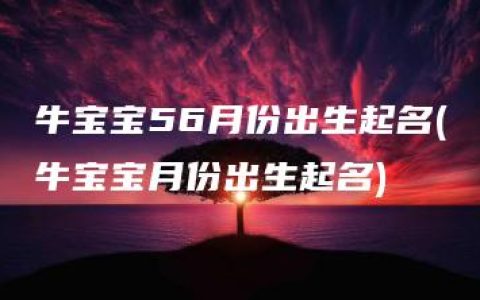 牛宝宝56月份出生起名(牛宝宝月份出生起名)