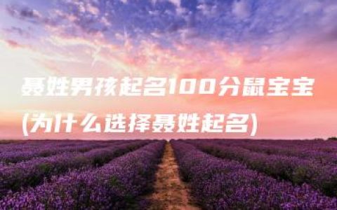 聂姓男孩起名100分鼠宝宝(为什么选择聂姓起名)