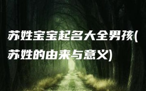 苏姓宝宝起名大全男孩(苏姓的由来与意义)