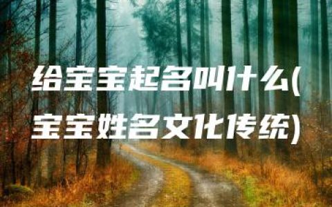 给宝宝起名叫什么(宝宝姓名文化传统)