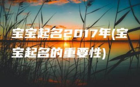 宝宝起名2017年(宝宝起名的重要性)