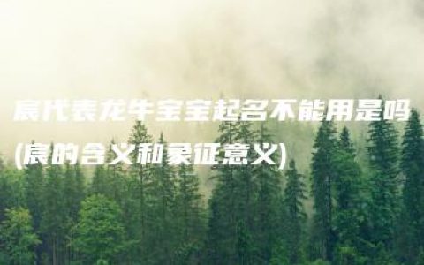 宸代表龙牛宝宝起名不能用是吗(宸的含义和象征意义)