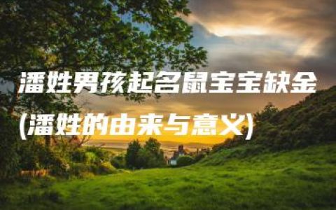 潘姓男孩起名鼠宝宝缺金(潘姓的由来与意义)