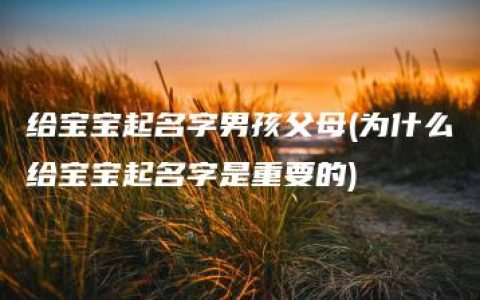 给宝宝起名字男孩父母(为什么给宝宝起名字是重要的)