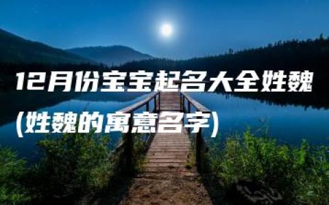 12月份宝宝起名大全姓魏(姓魏的寓意名字)