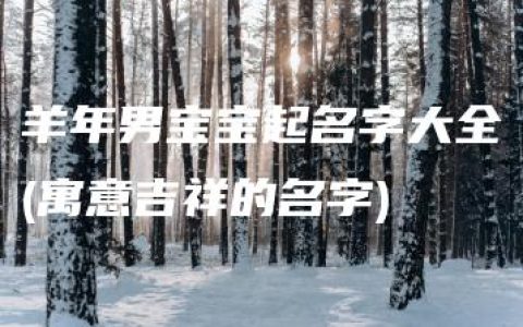 羊年男宝宝起名字大全(寓意吉祥的名字)