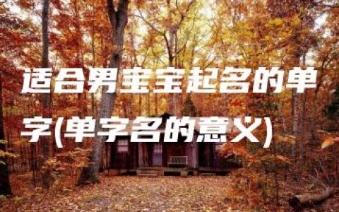 适合男宝宝起名的单字(单字名的意义)