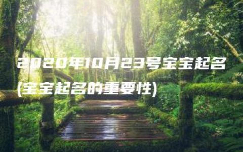 2020年10月23号宝宝起名(宝宝起名的重要性)